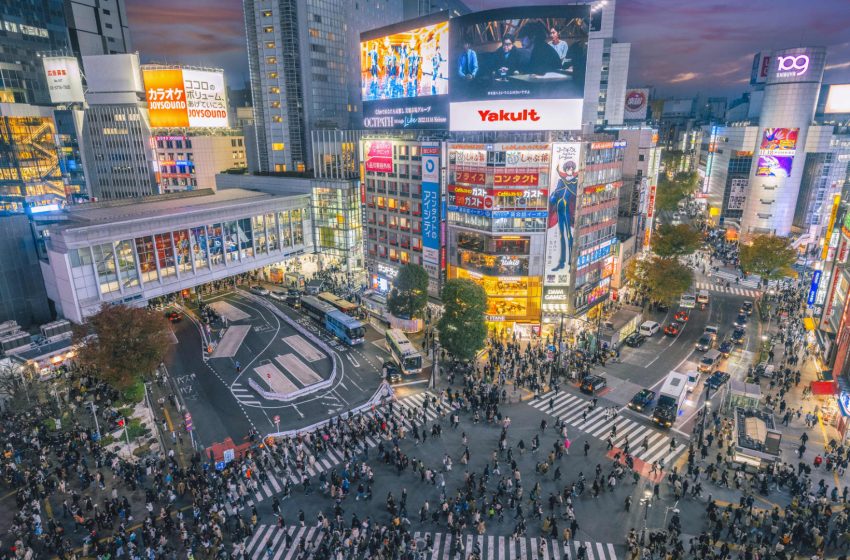  Business sentiment improves in Tankan survey