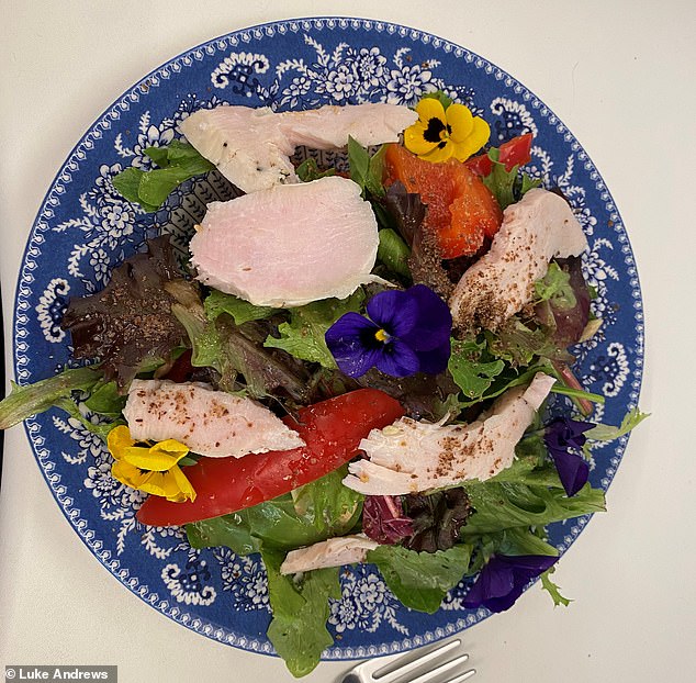 Shown above is another lunch I had while on the Markle diet