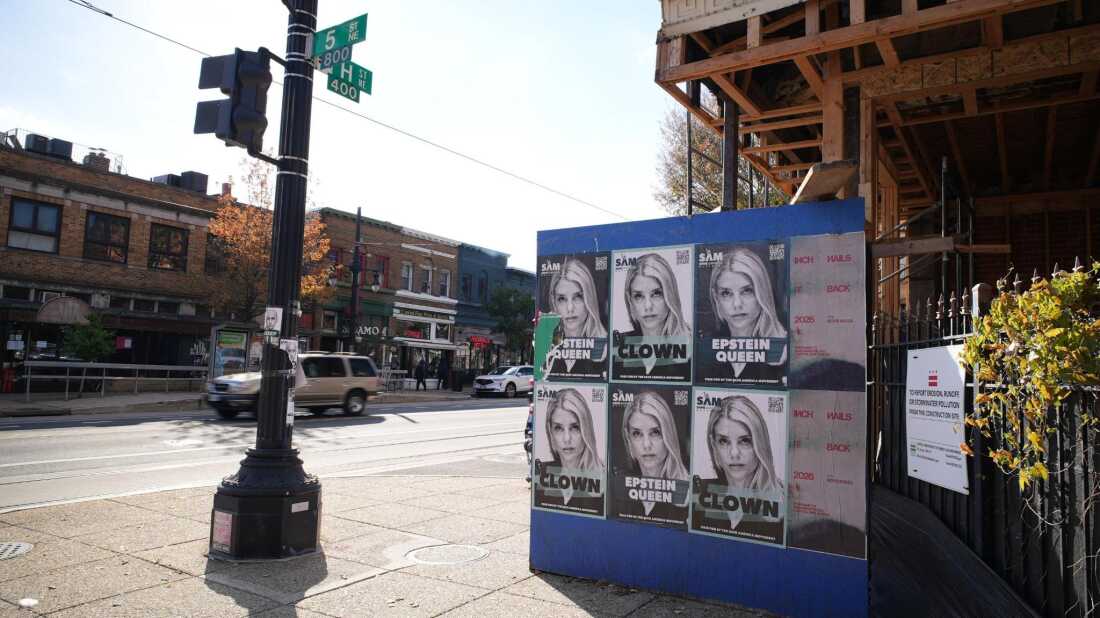 Posters of Pam Bondi are seen with the words "Epstein Queen" and "Clown" in Washington, D.C.