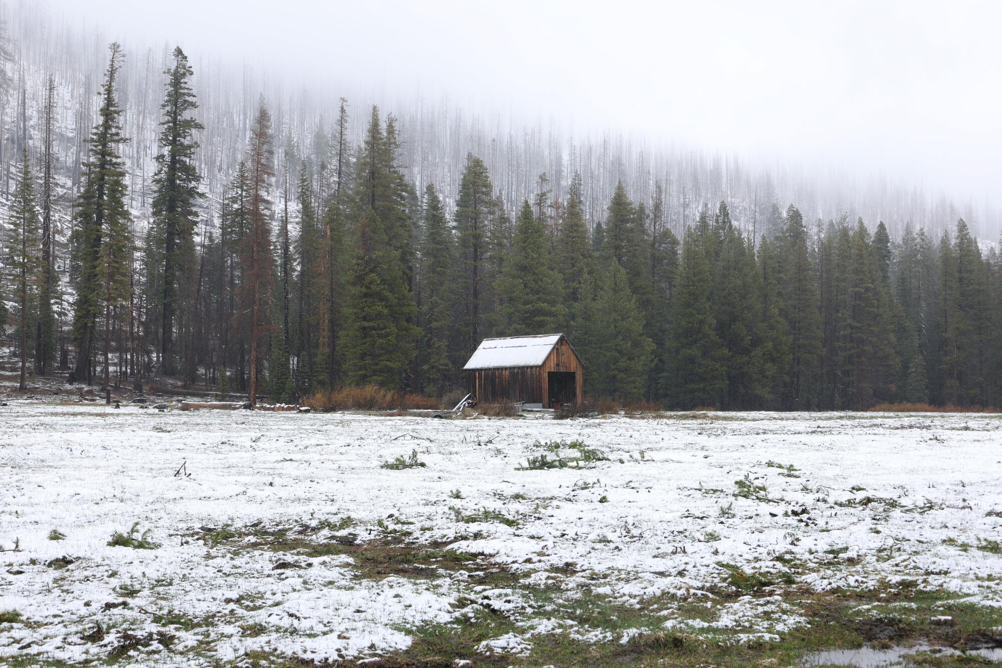 Light snow is seen on the meadow at Phillips Station in the Sierra Nevada. 