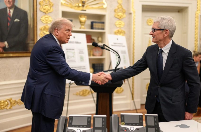  Apple CEO Tim Cook Explains His Relationship With Trump