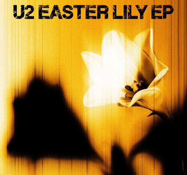  U2 > News > ‘U2 – EASTER LILY’