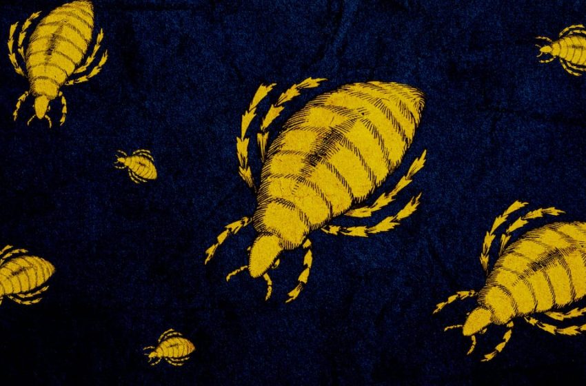  Grim ‘Victorian Disease’ Makes an Alarming Comeback