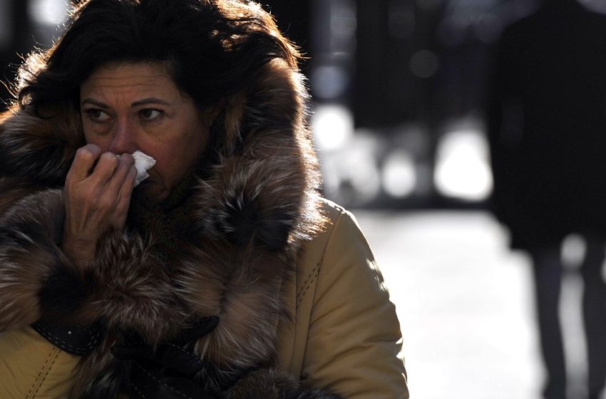  As allergy season returns to NYC, here’s how you can save yourself from pollen