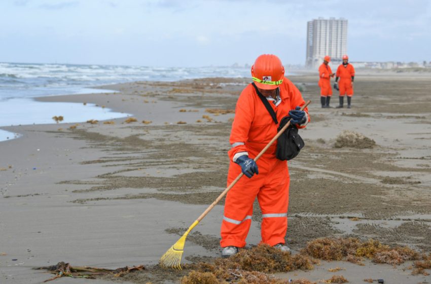  Trump’s Endangered Species Committee exempts oil and gas drilling in the Gulf from rules