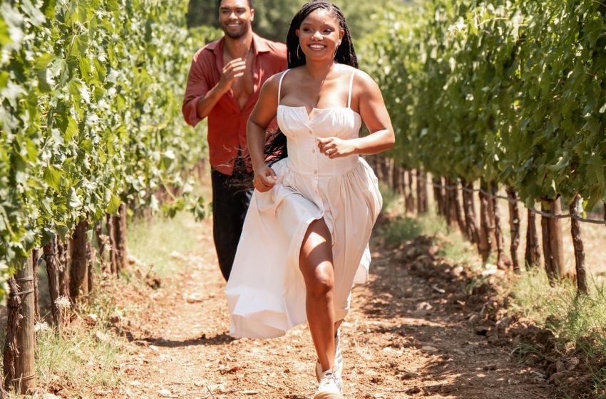  Halle Bailey and Regé-Jean Page Rom-Com
