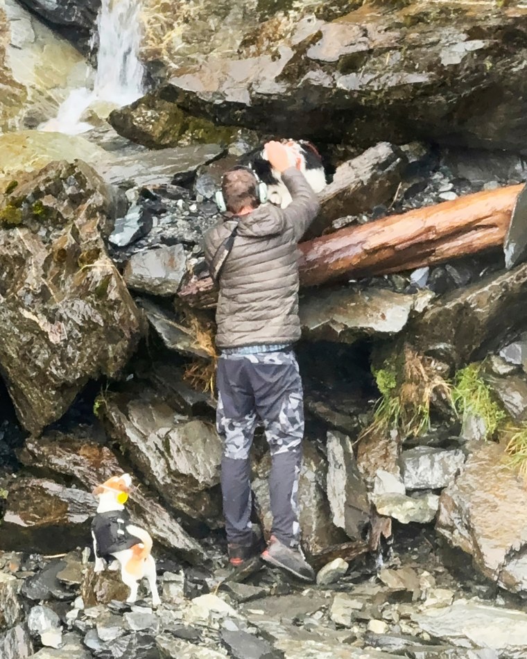 New Zealand Dog Rescue