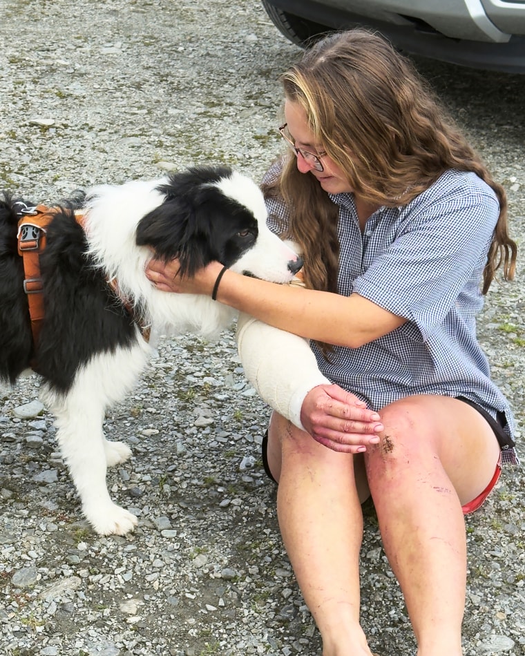 New Zealand Dog Rescue