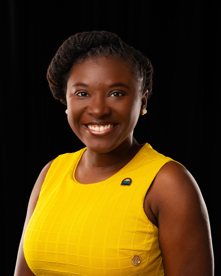 Vice Mayor Nancy Metayer.