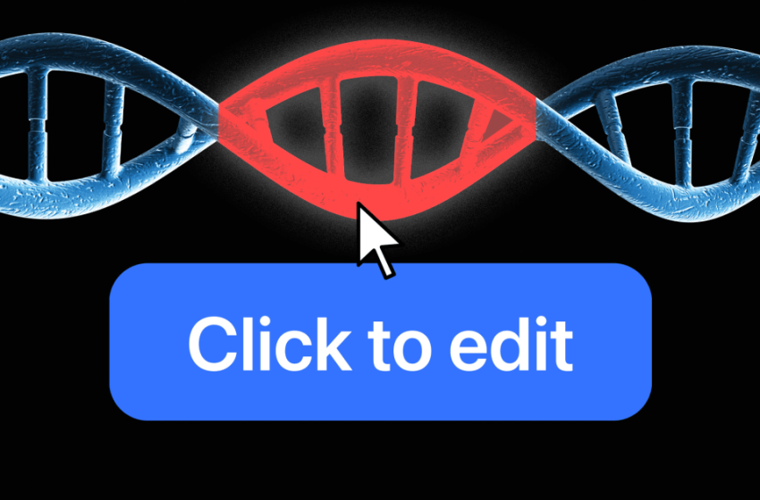  To lower cholesterol, these patients got a one-time tweak to their genes