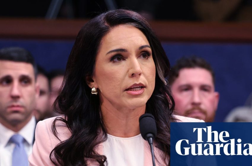 Trump polled advisers about replacing Tulsi Gabbard as intelligence chief | US politics