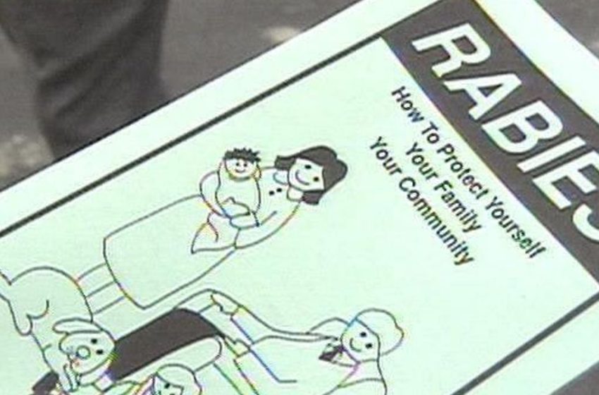  Person attacked by rabid cat in Orange County :: WRAL.com