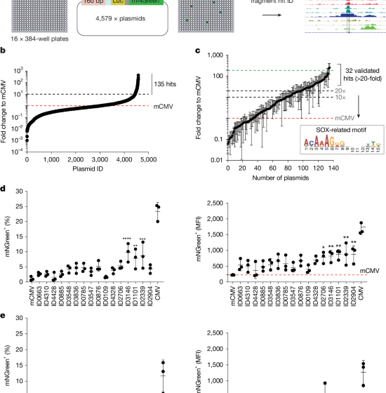  Synthetic super-enhancers enable precision viral immunotherapy