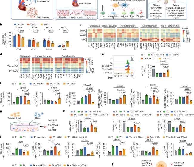  Engineered immunosuppressive dendritic cells protect against cardiac remodelling