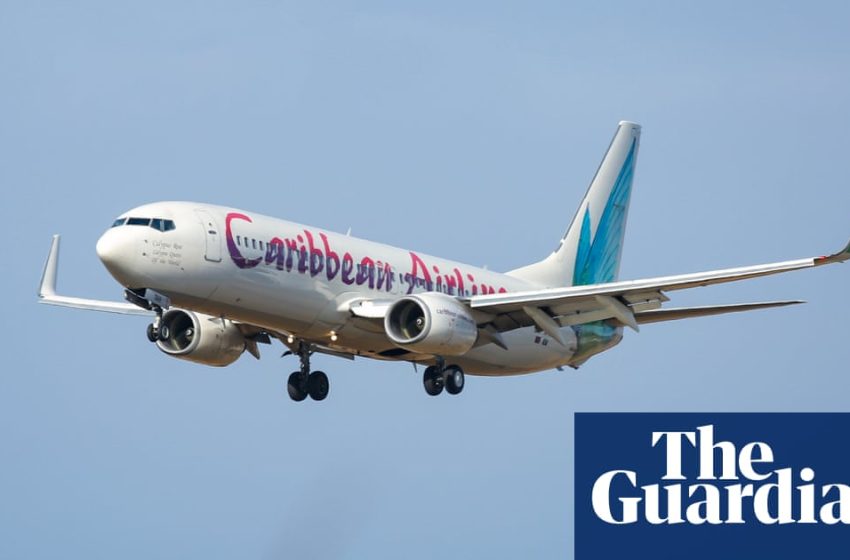  Stork warning: woman gives birth midair on Jamaica-to-New York flight | New York