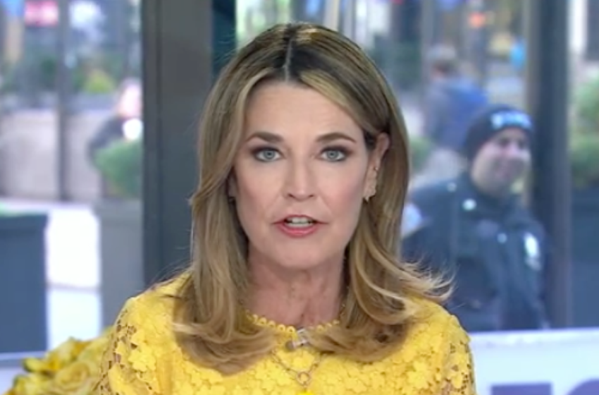  Savannah Guthrie returns to Today with subtle nod to missing mom as co-anchors welcome back their ‘sunshine’