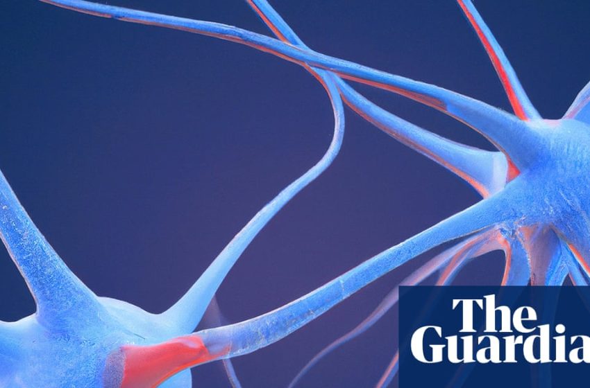  Scientists identify ‘neural fingerprint’ of psychedelic drugs in the brain | Drugs