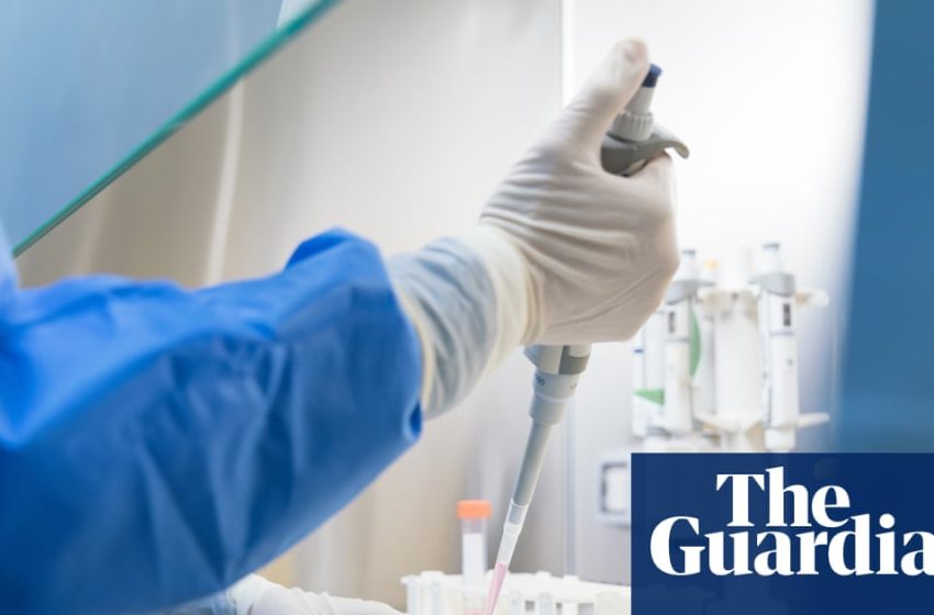  ‘Traceability is vital’: labs test thousands of unregulated substances amid peptide craze | Weight-loss drugs