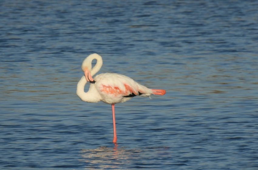  6 Easy Tests To Tell How Well You’re Ageing