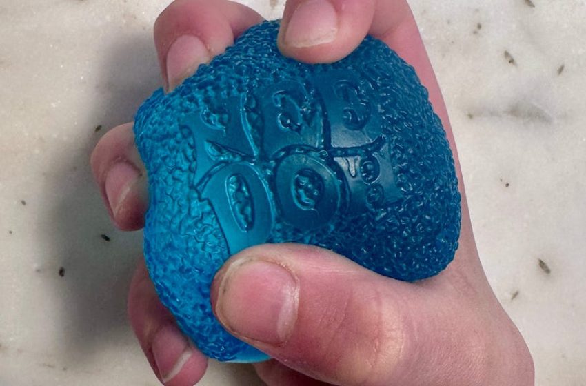  NeeDoh Squishies Are the Hot New Viral Toy — If You Can Find Them