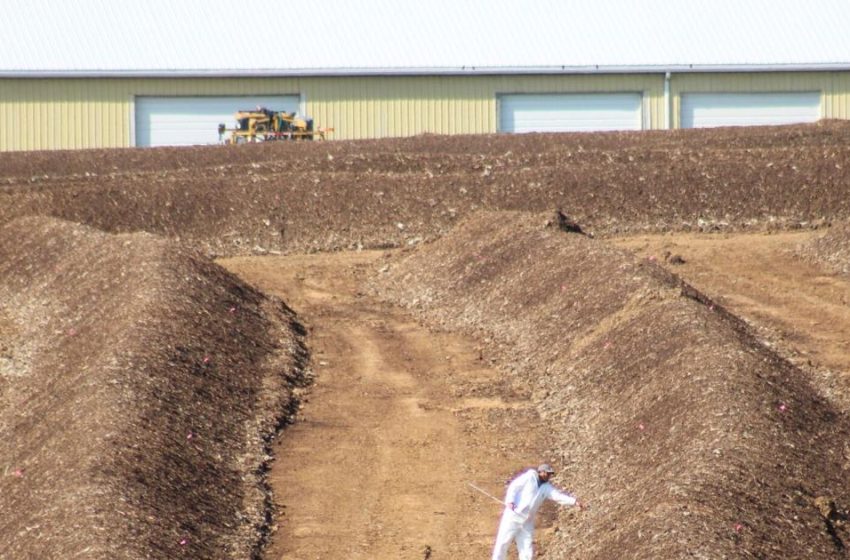  Poultry specialist explains spectacle of chicken composting amid bird flu outbreak [Lancaster Watchdog] – LancasterOnline
