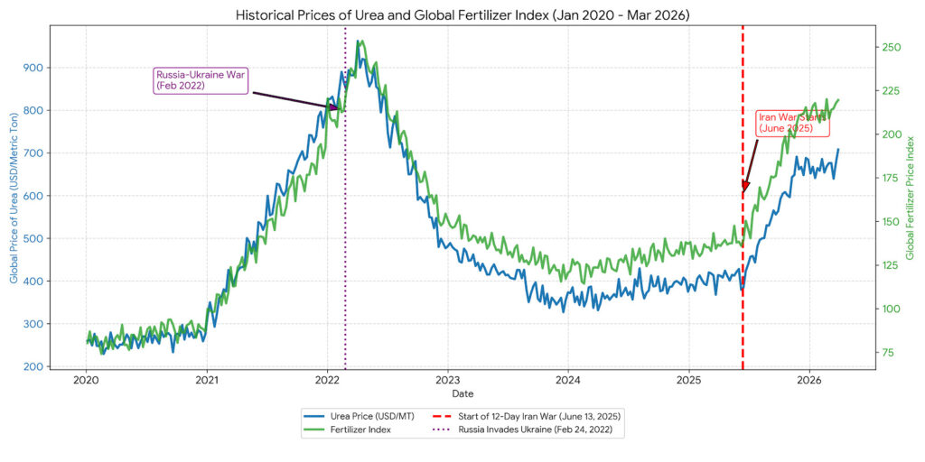 Graph showing the increases in global fertilizer prices during periods of war and how the prices decrease in between
