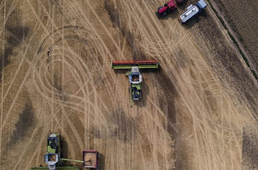  Egypt won’t accept Ukrainian wheat exported by Russia, Zelenskyy says – POLITICO