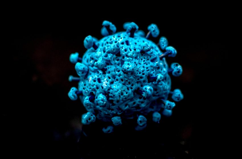  What to Know About Cicada, the New COVID Variant