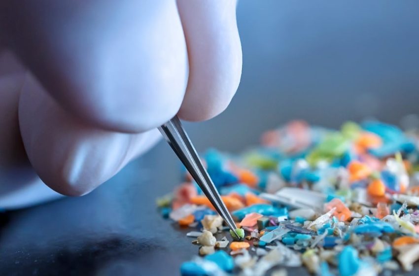  Scientists Found a Big Problem With How We Measure Microplastics : ScienceAlert