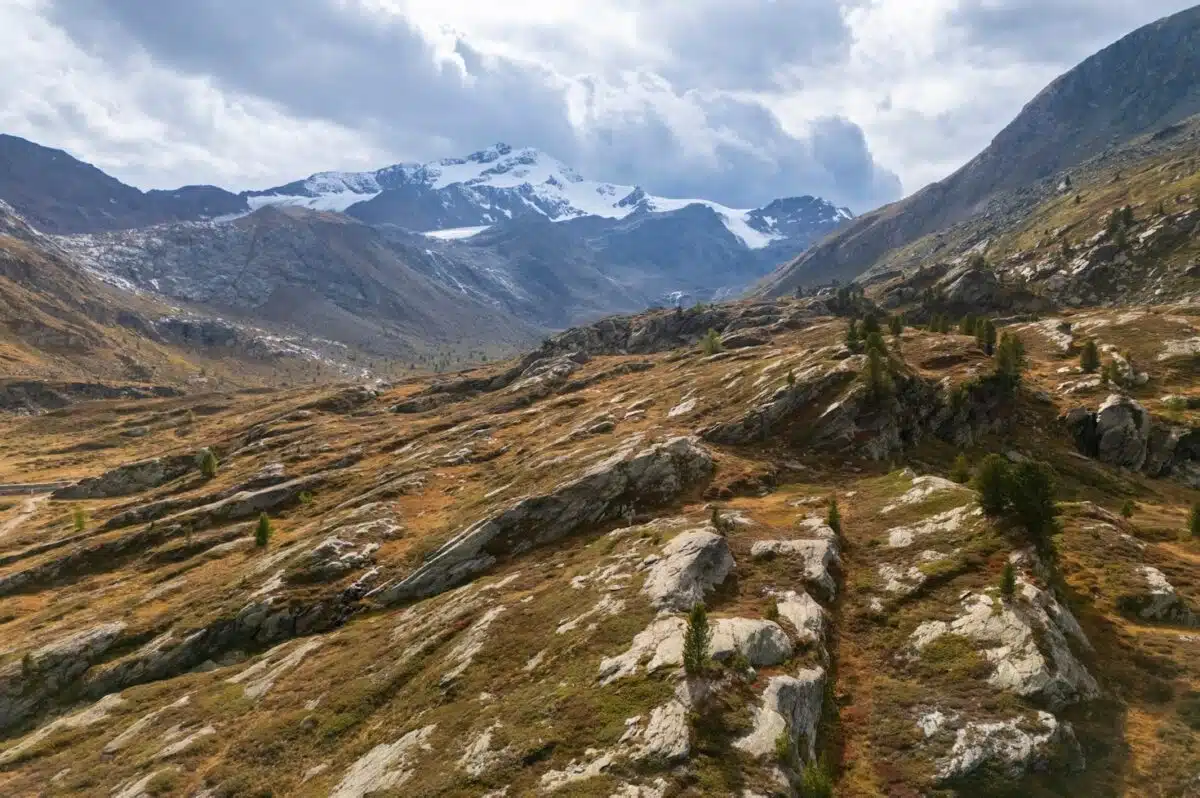 Healthy Volunteers Who Can Commit To The Full Program Will Receive Accommodation, Food, And A Small Payment During The Stay