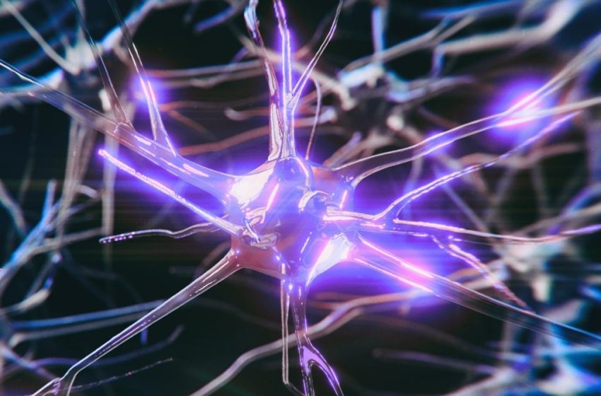  Alzheimer’s Risk Gene Alters Brain Activity Early – But It May Be Reversible : ScienceAlert