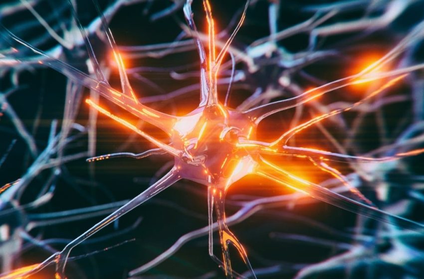  Scientists Think Vagus Nerve Stimulation Could Help Protect Your Memory : ScienceAlert