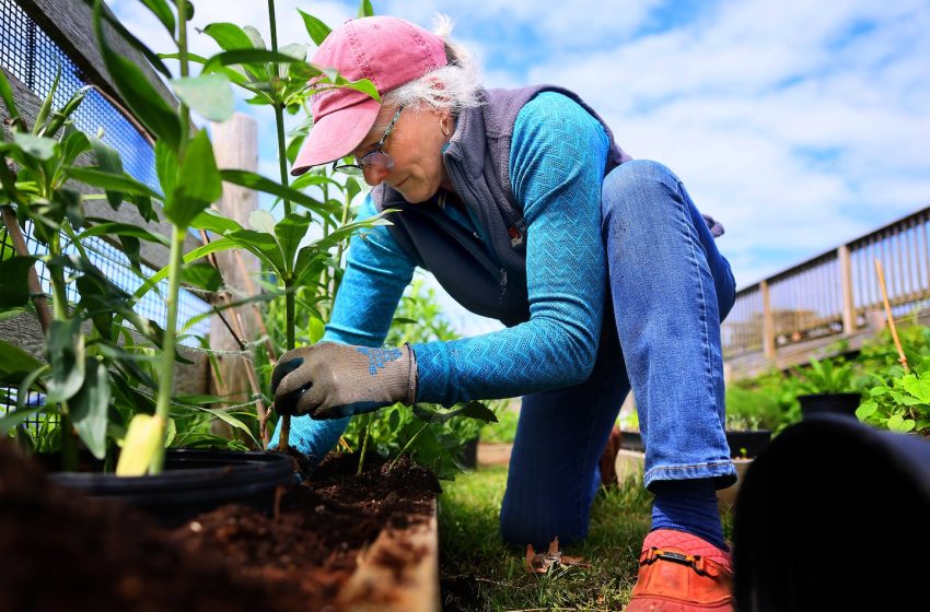  This springtime activity is surprisingly good for your brain