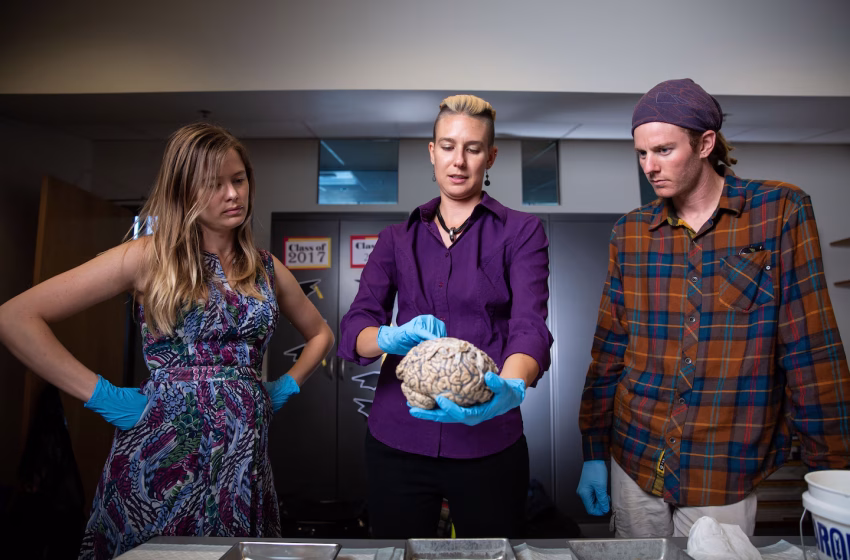  The links between autism and Alzheimer’s could change how we treat both