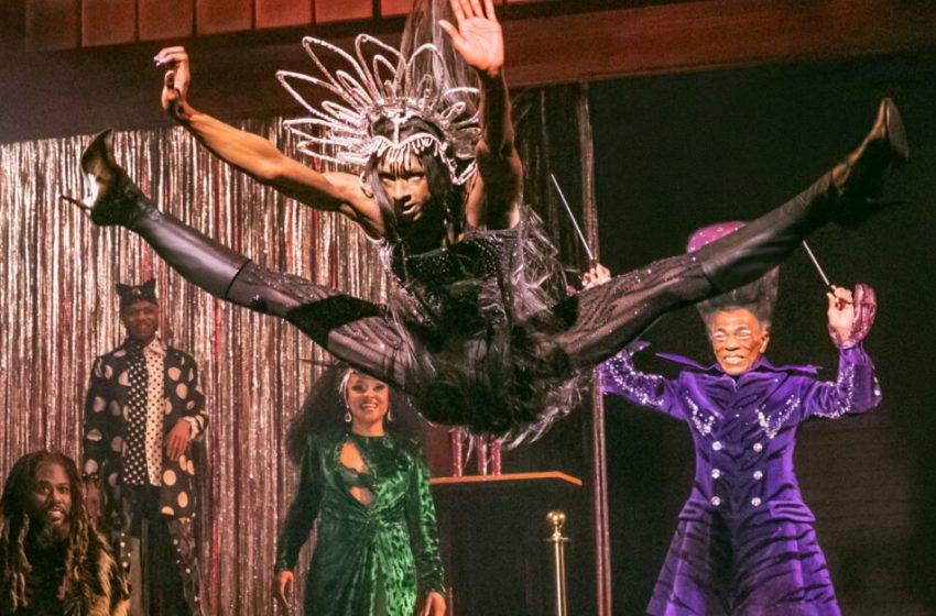  Reviews: What Do the Critics Think Of Cats: The Jellicle Ball on Broadway?