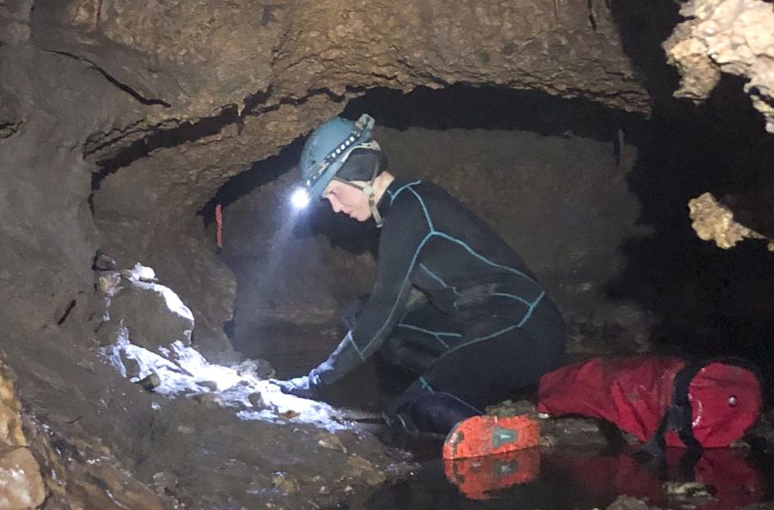  ‘It blew my mind’: Long-lost ice-age ecosystem, including fossils of lion-size armadillo and giant ground sloth, discovered in Texas ‘water cave’