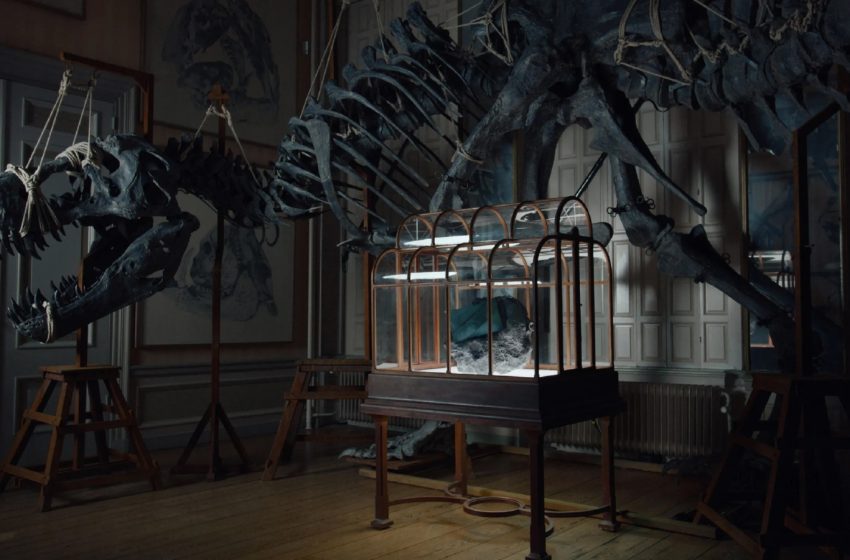  Scientists create world’s first ‘T-Rex leather’ handbag with $600k starting price