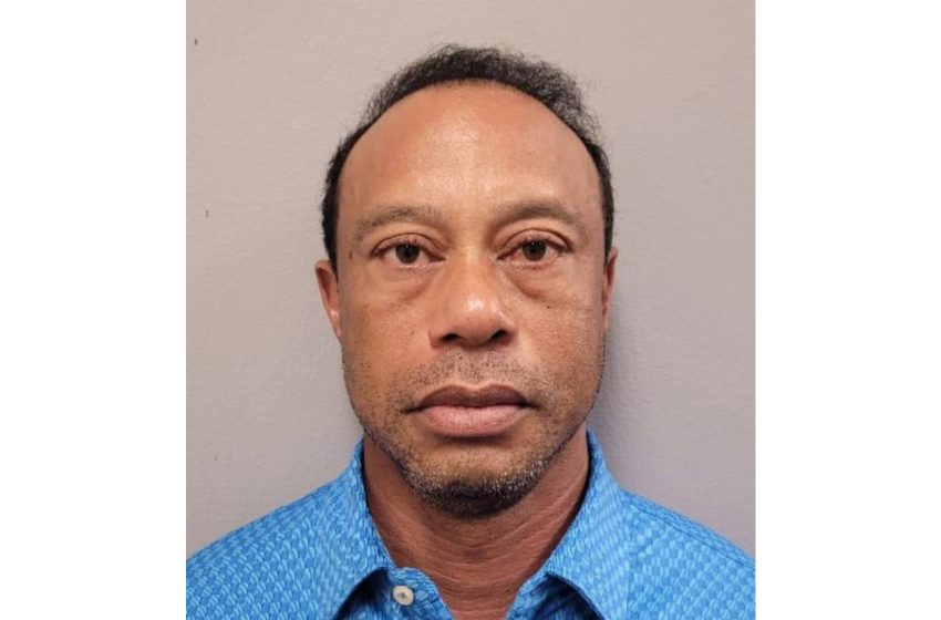  Tiger Woods called Trump after DUI crash: video