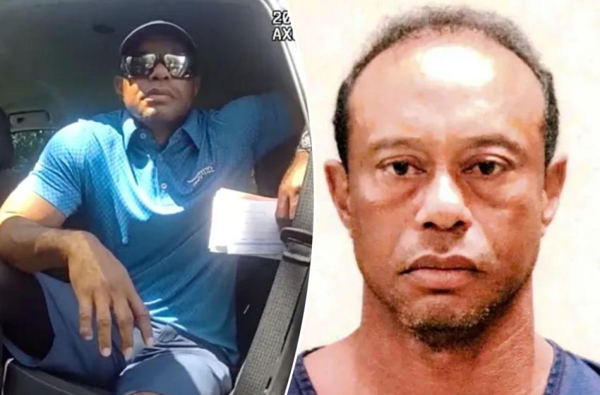  Tiger Woods’ solemn second mugshot revealed after DUI arrest