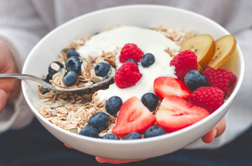  The New Gut Health Obsession Comes With a Catch, Experts Warn : ScienceAlert