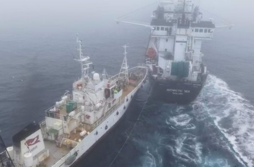  Activist ship’s collision with krill trawler off Antarctica called “deliberate attack”