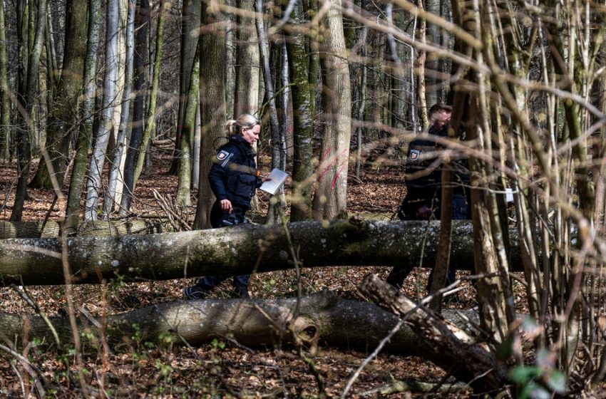  Falling tree kills 3, including 10-month-old, during Easter egg hunt in Germany