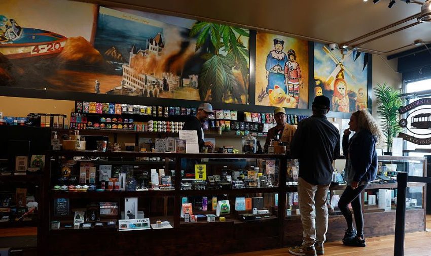  WA doctors are sounding alarm on cannabis health effects