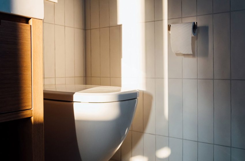  The 3 Ps of pooping and how to optimize them, according to a Harvard doc