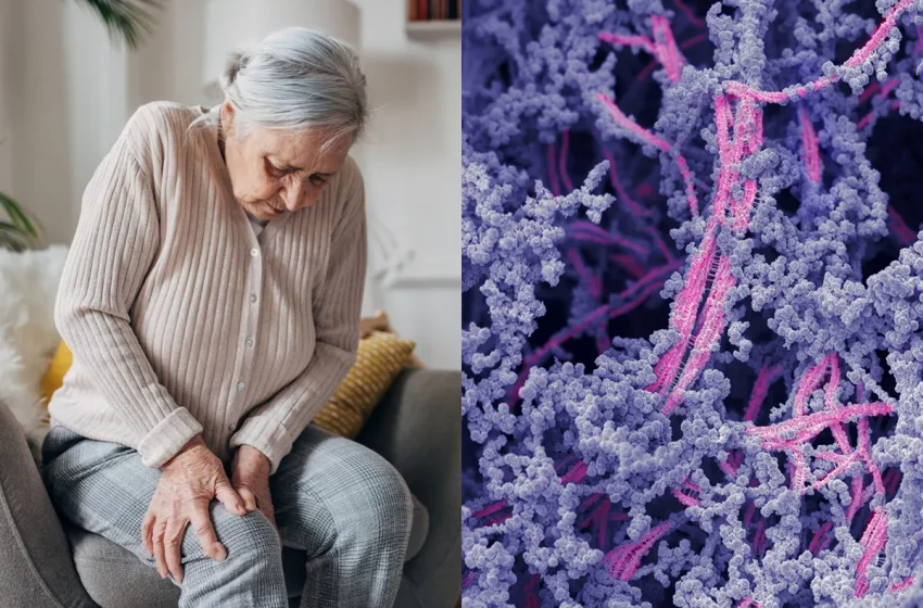  Scientists discover a way to regrow damaged cartilage