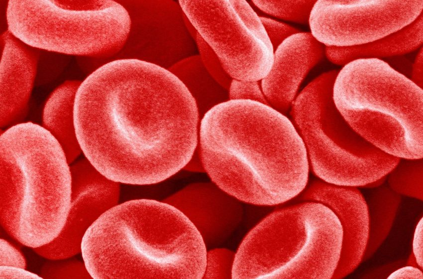  Diabetes rates are lower in high-altitude environments ‪‪—‬ and scientists may have discovered why