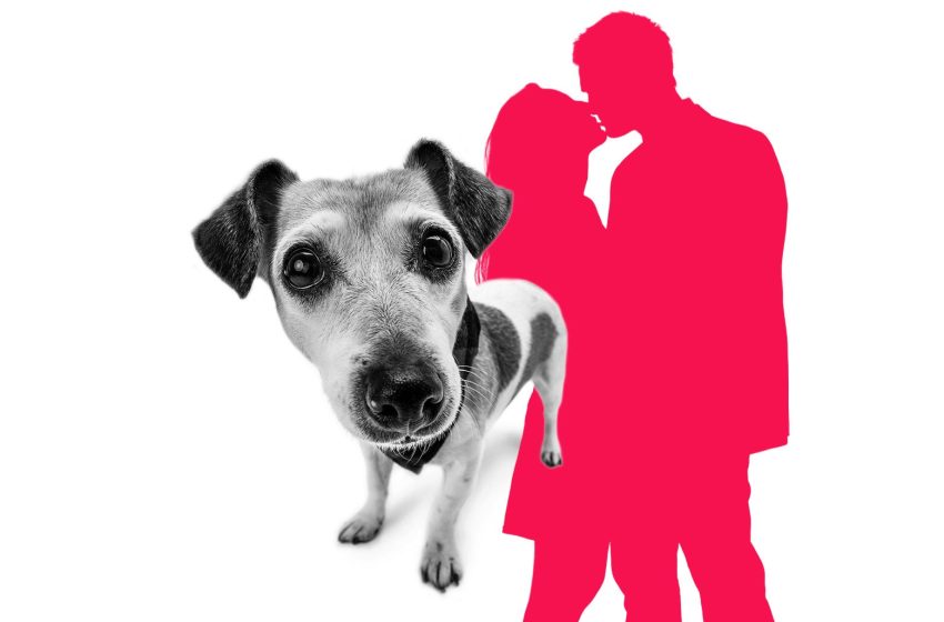  My porch camera caught my brother with his mistress. But he’s hiding a darker secret.