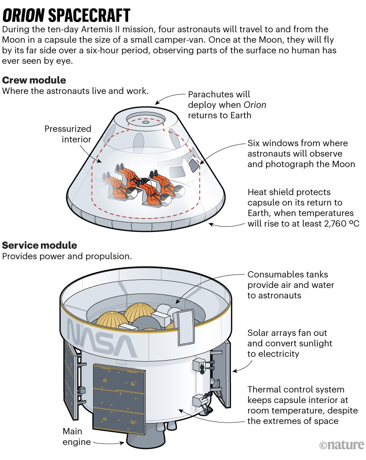 Orion spacecraft. Schematic diagram showing the crew and service module of the spacecraft. During the ten-day Artemis II mission, four astronauts will travel to and from the Moon in a capsule the size of a small camper-van. Once at the Moon, they will fly by its far side over a six-hour period, observing parts of the surface no human has ever seen by eye.