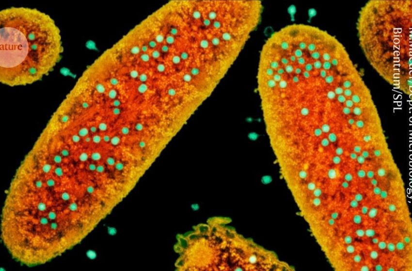  ‘Treasure trove’ of antiviral proteins could inspire powerful molecular tools