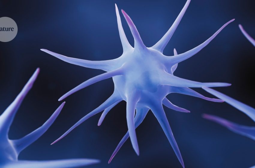  Why some cancer-fighting immune cells lose their strength inside tumours